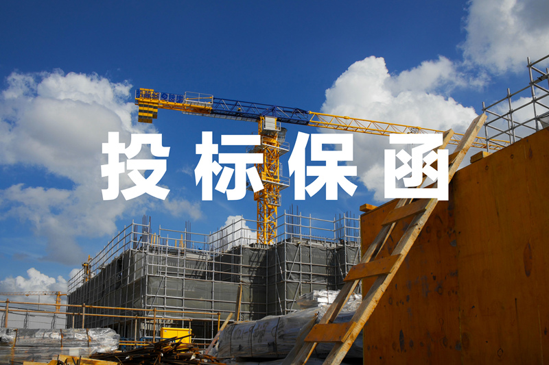投标保函